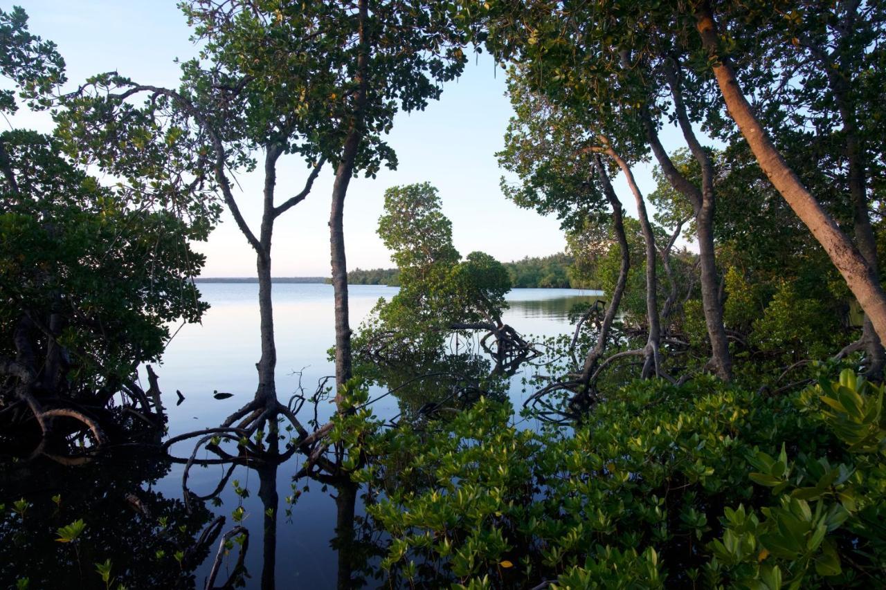 The Mida Creek * Watamu