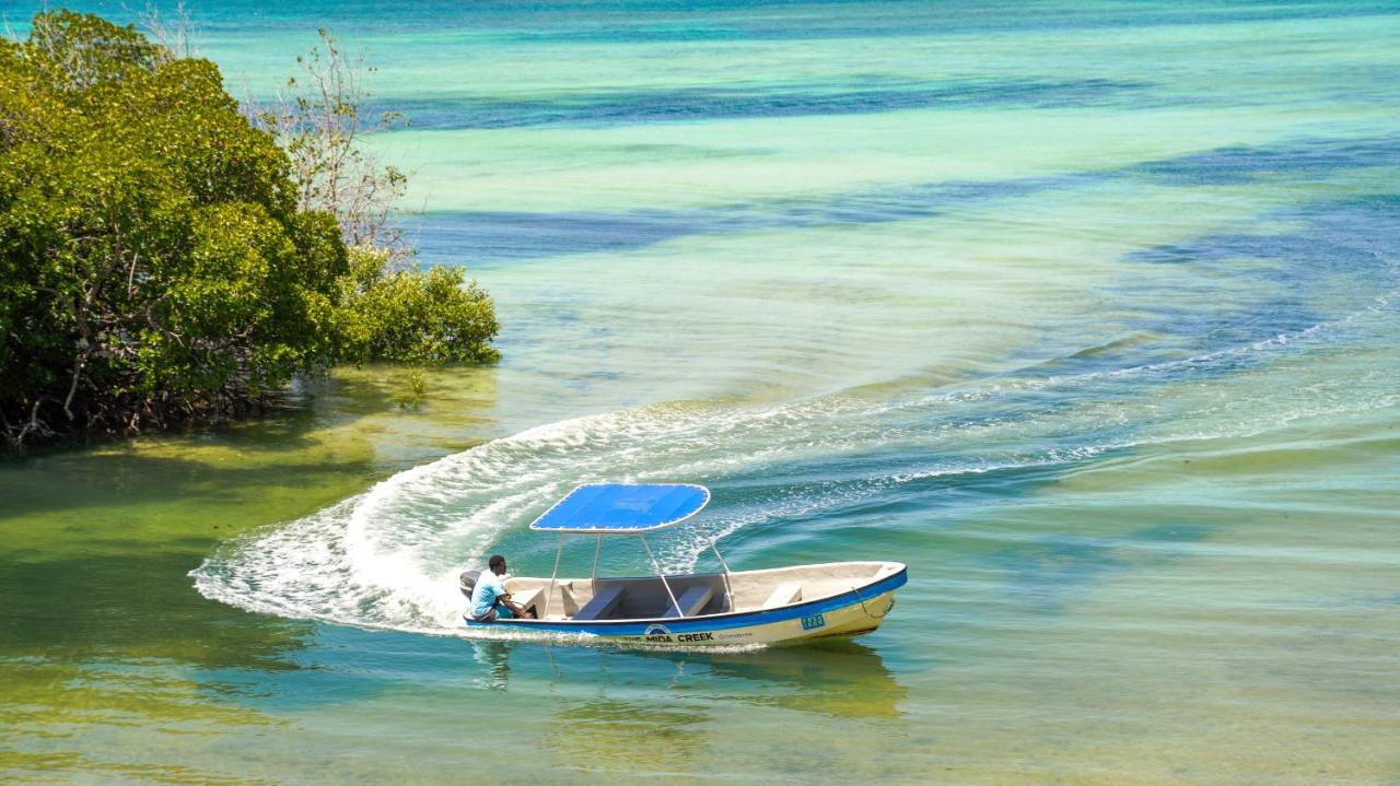 The Mida Creek Station touristique